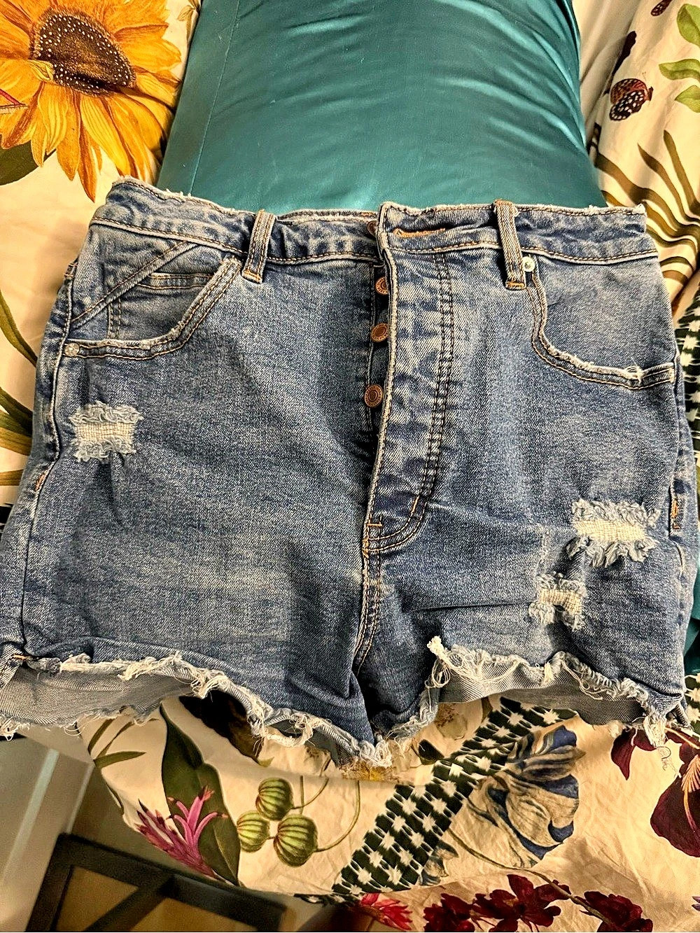 Free People We The Free Now Denim Shorts sz 30